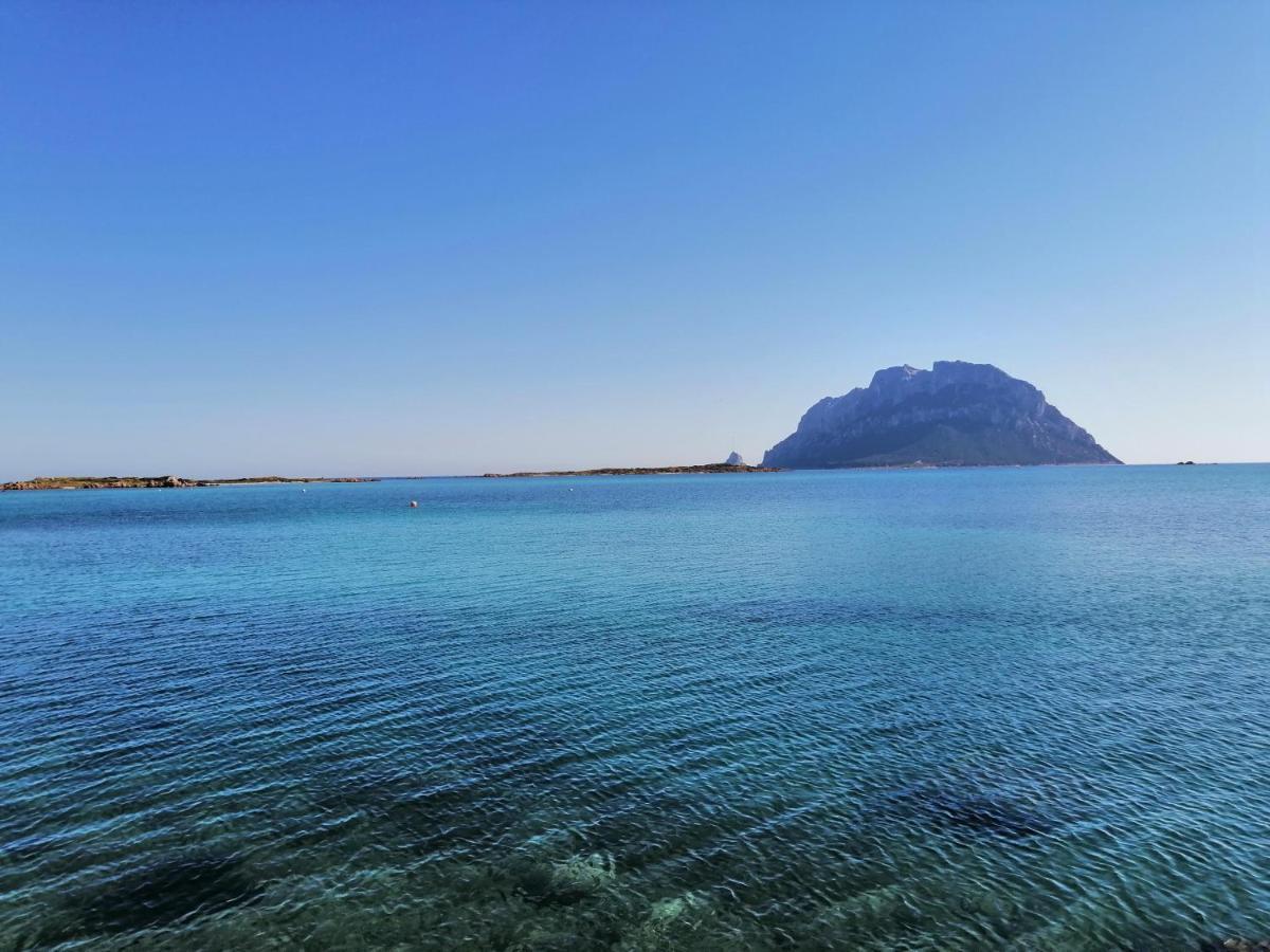 Aria Di Vacanza - Molara Loiri Porto San Paolo Eksteriør billede